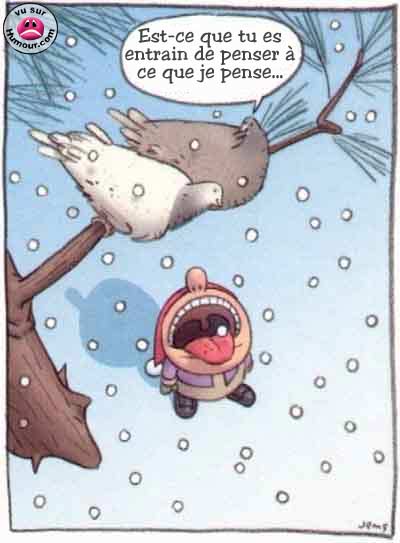 grotte de pigeon